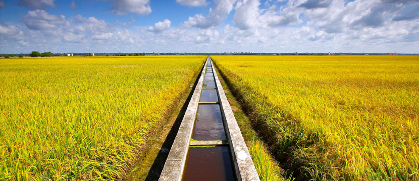 Agriculture